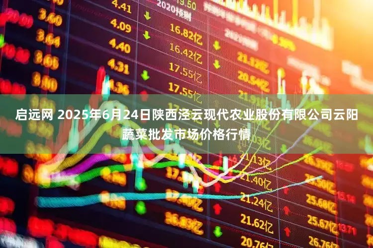 启远网 2025年6月24日陕西泾云现代农业股份有限公司云阳蔬菜批发市场价格行情