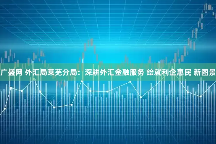 广盛网 外汇局莱芜分局：深耕外汇金融服务 绘就利企惠民 新图景