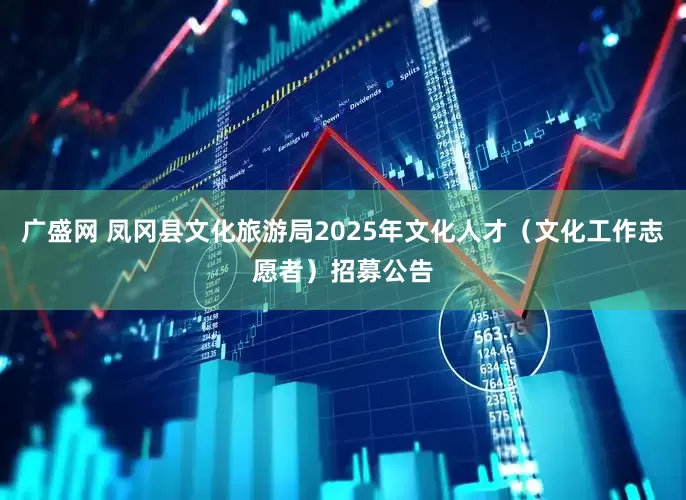 广盛网 凤冈县文化旅游局2025年文化人才（文化工作志愿者）招募公告